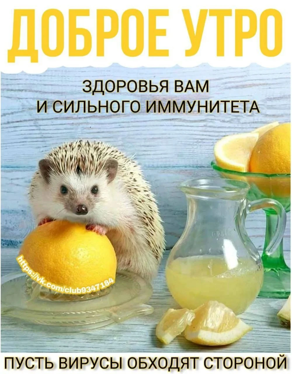Прекрасного дня - изображение