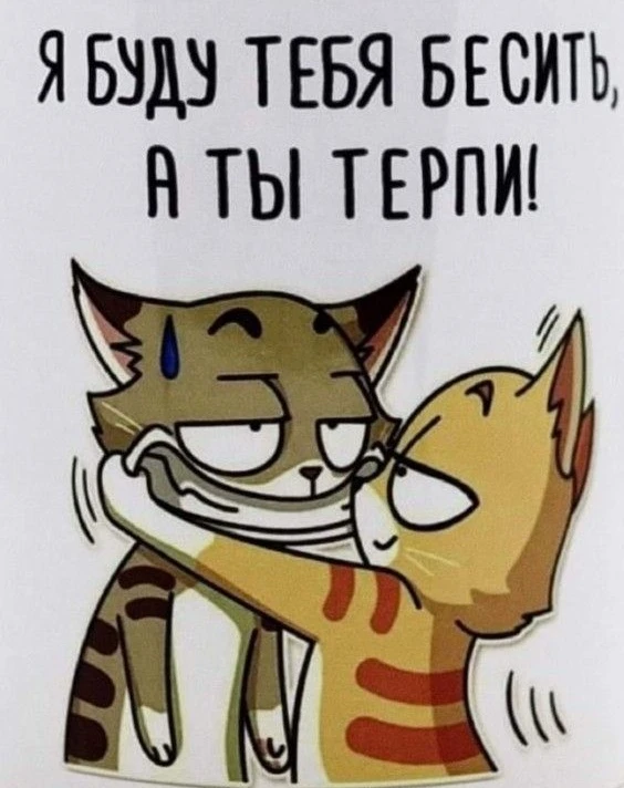 Изображение из поста - изображение