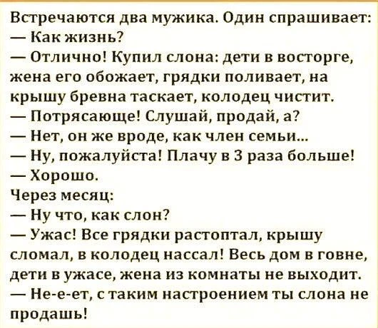 #юмор #приколы #шутка_юмора #анекдот - изображение