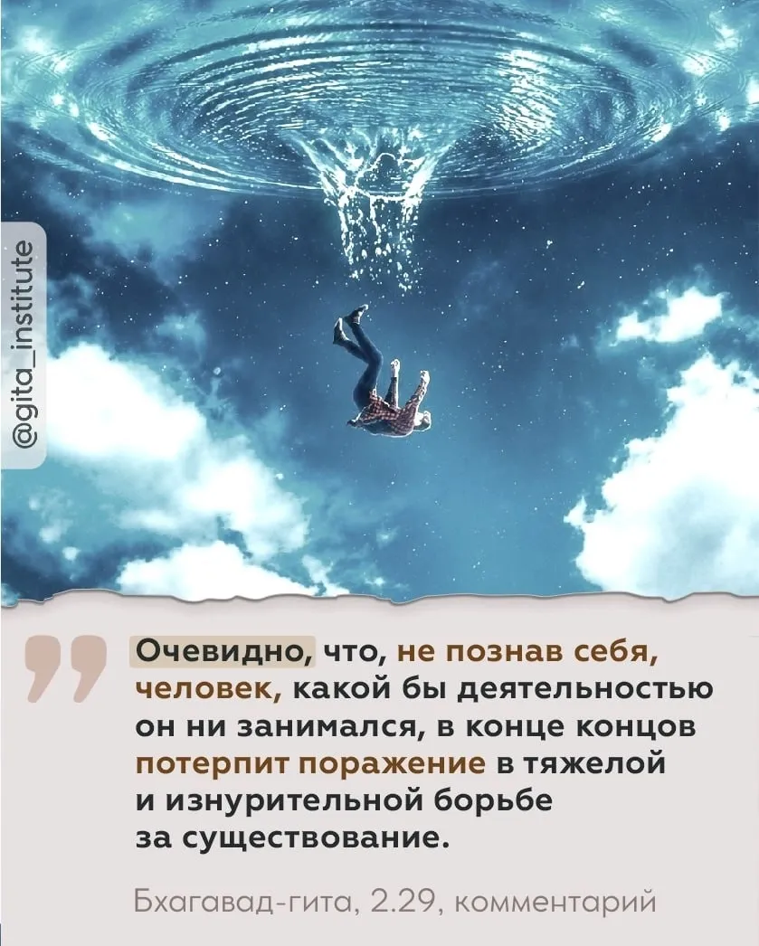 Изображение из поста - изображение