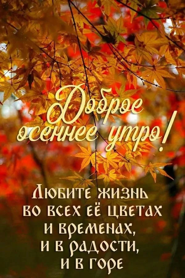 Доброе утро! ✨Пусть утро начнётся с улыбки, душевного тепла и приятных мыслей! Пусть ароматный чай или кофе - изображение