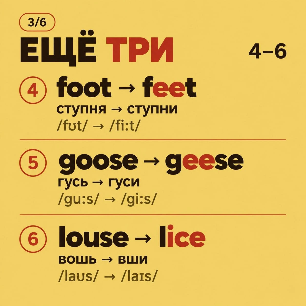 woman → women man → men child → children foot → feet goose → geese louse → lice mouse → mice tooth → teeth - изображение