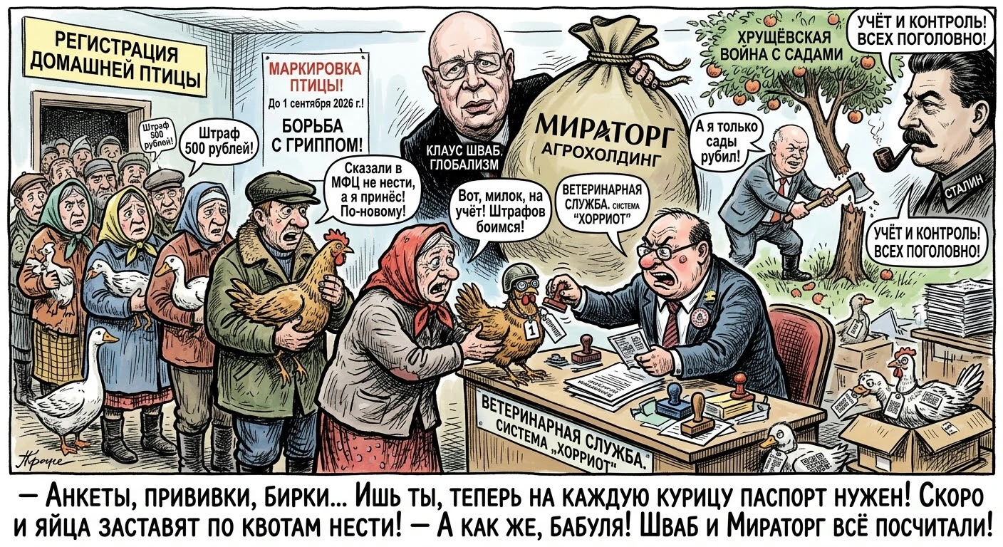 В последние дни российские социальные сети взорвались вирусными роликами: владельцы личных подсобных хозяйств в - изображение