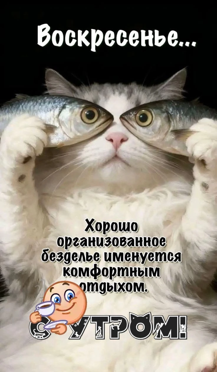 #общение #Жизнь #юмор - изображение
