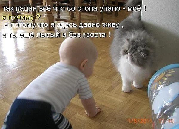 Изображение из поста - изображение