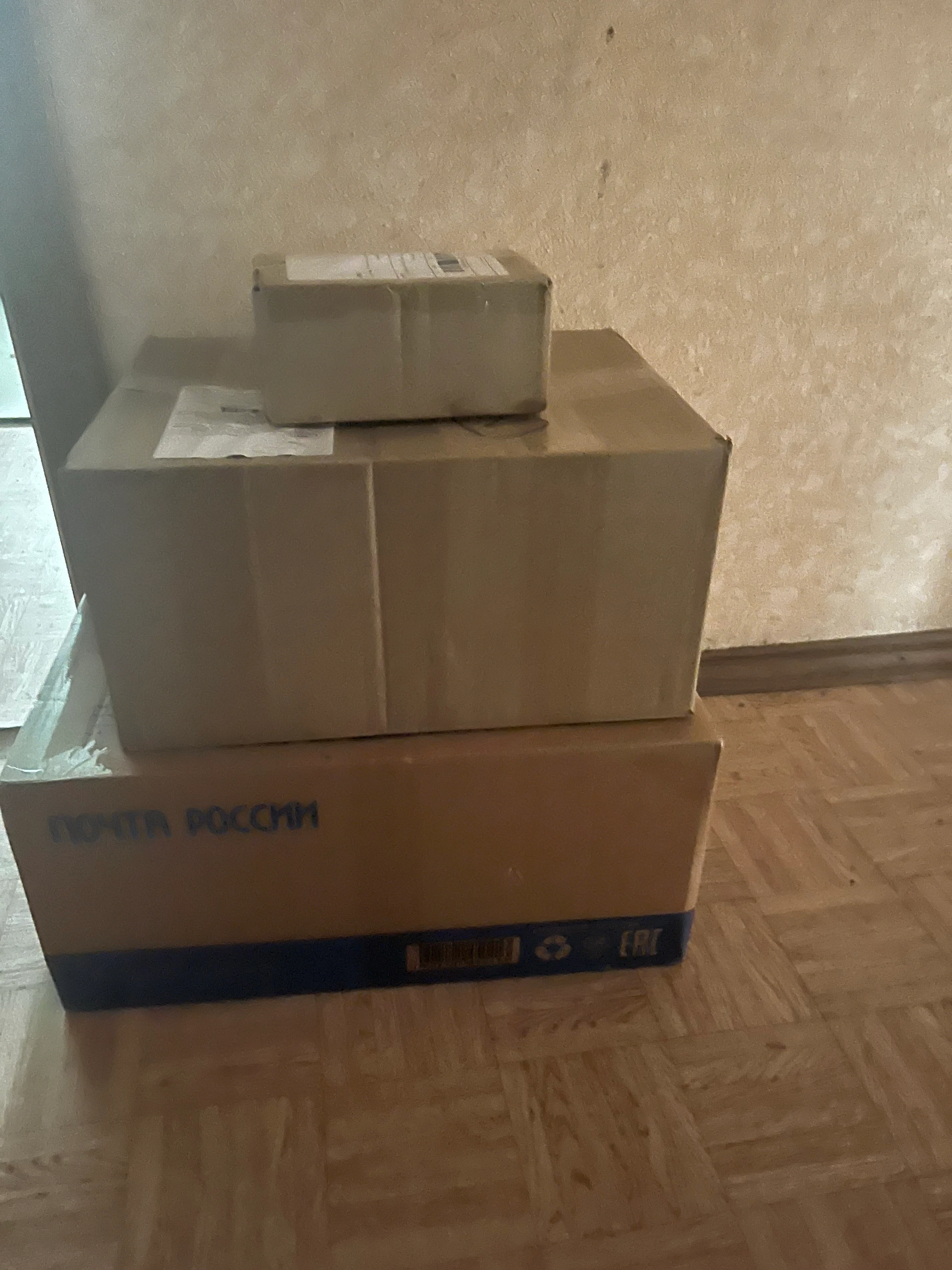 Вот так я разом дождалась всех коней)) - изображение