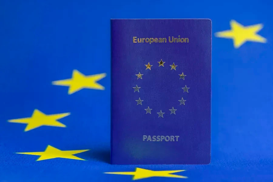 Что случилось В Германии и других странах Европы ужесточили правила допуска к государственным подрядам. В списки - изображение