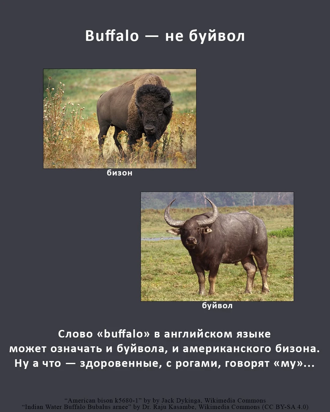 Всякому переводчику хорошо известно, что бывают слова, которые не имеют однозначного точного соответствия в - изображение