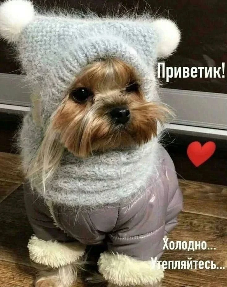 Изображение из поста - изображение