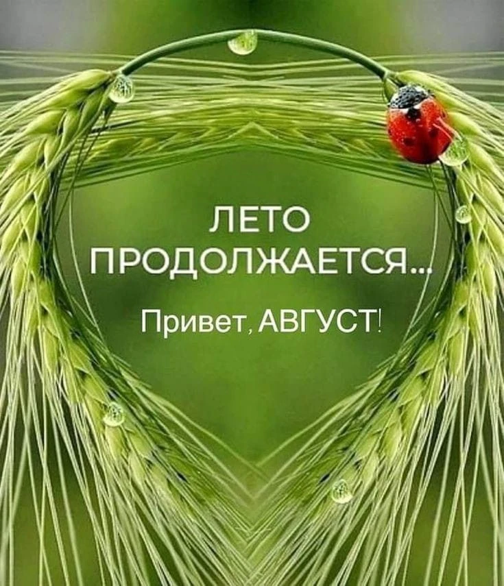 Изображение из поста - изображение