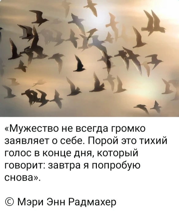 Изображение из поста - изображение