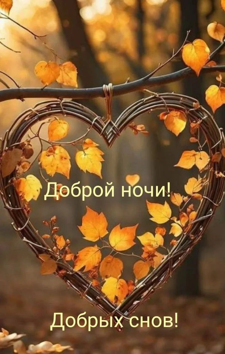 Доброй ночи, исцеляющих снов - изображение