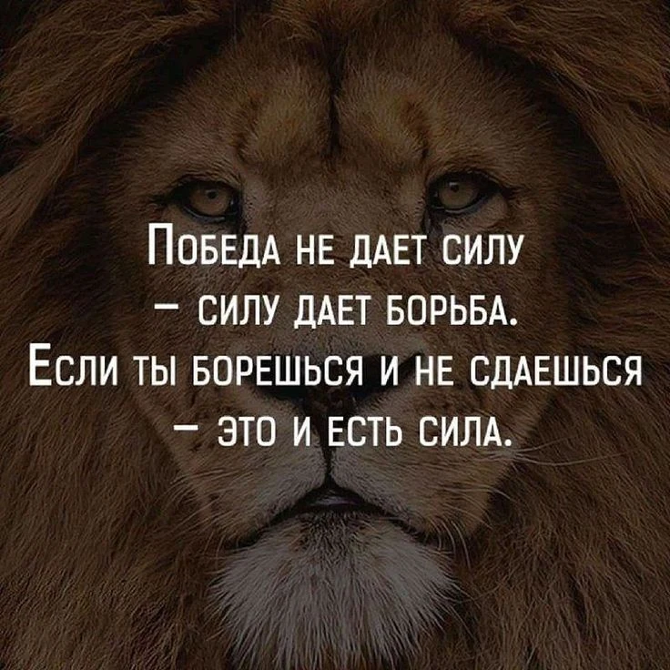 Изображение из поста - изображение