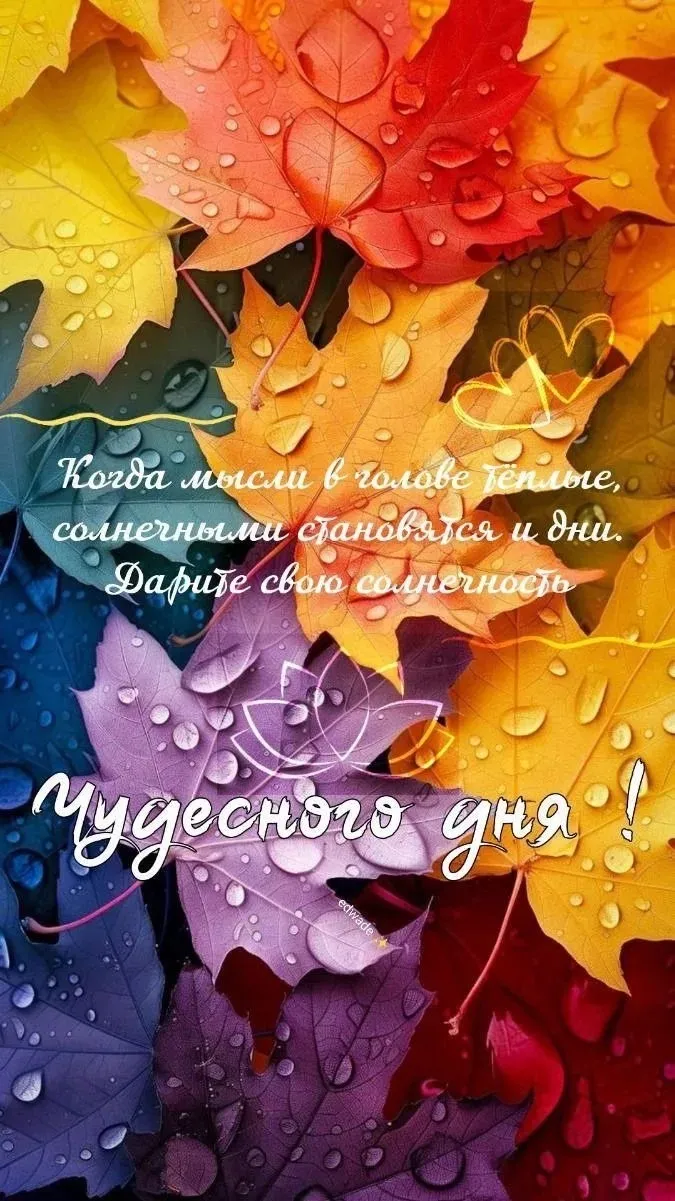 Пусть это утро будет добрым, Ты будь в хорошем настроенье, В окно взгляни, там светит солнце, И даже слышно - изображение