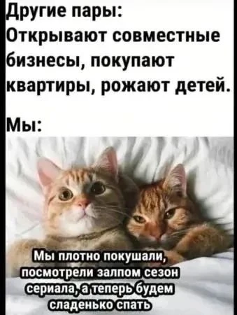 Изображение из поста - изображение