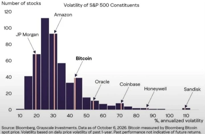 За последние 12 месяцев годовая волатильность BTC составила около 45% Это меньше, чем у Oracle (около 55%), - изображение