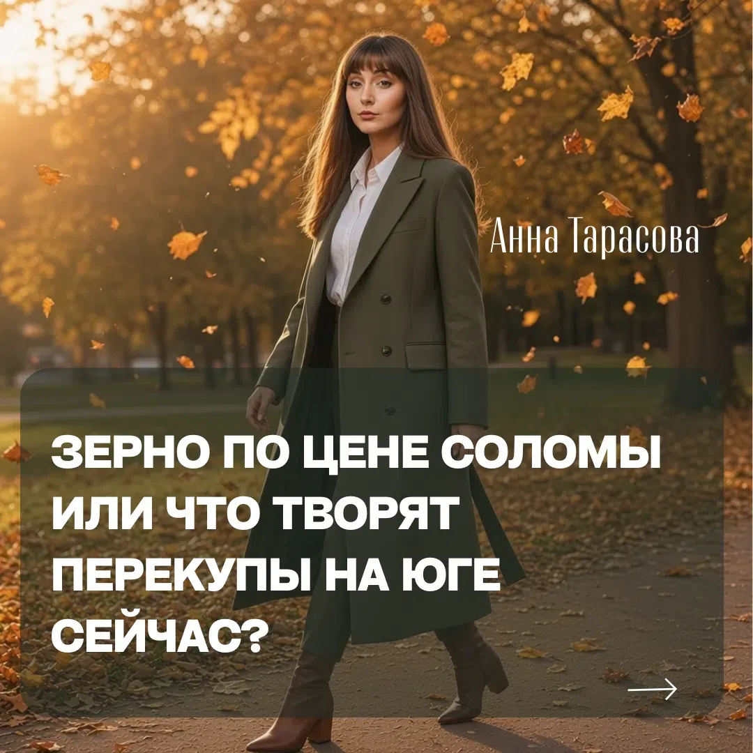 Зерно по цене соломы: на Юге пшеницу скупают по 4–5 тысяч рублей за тонну — при себестоимости 11–13 тысяч. - изображение