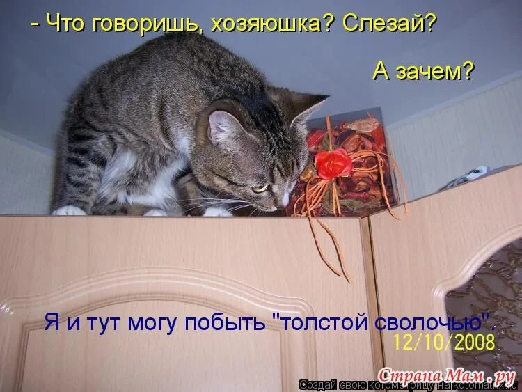 Изображение из поста - изображение