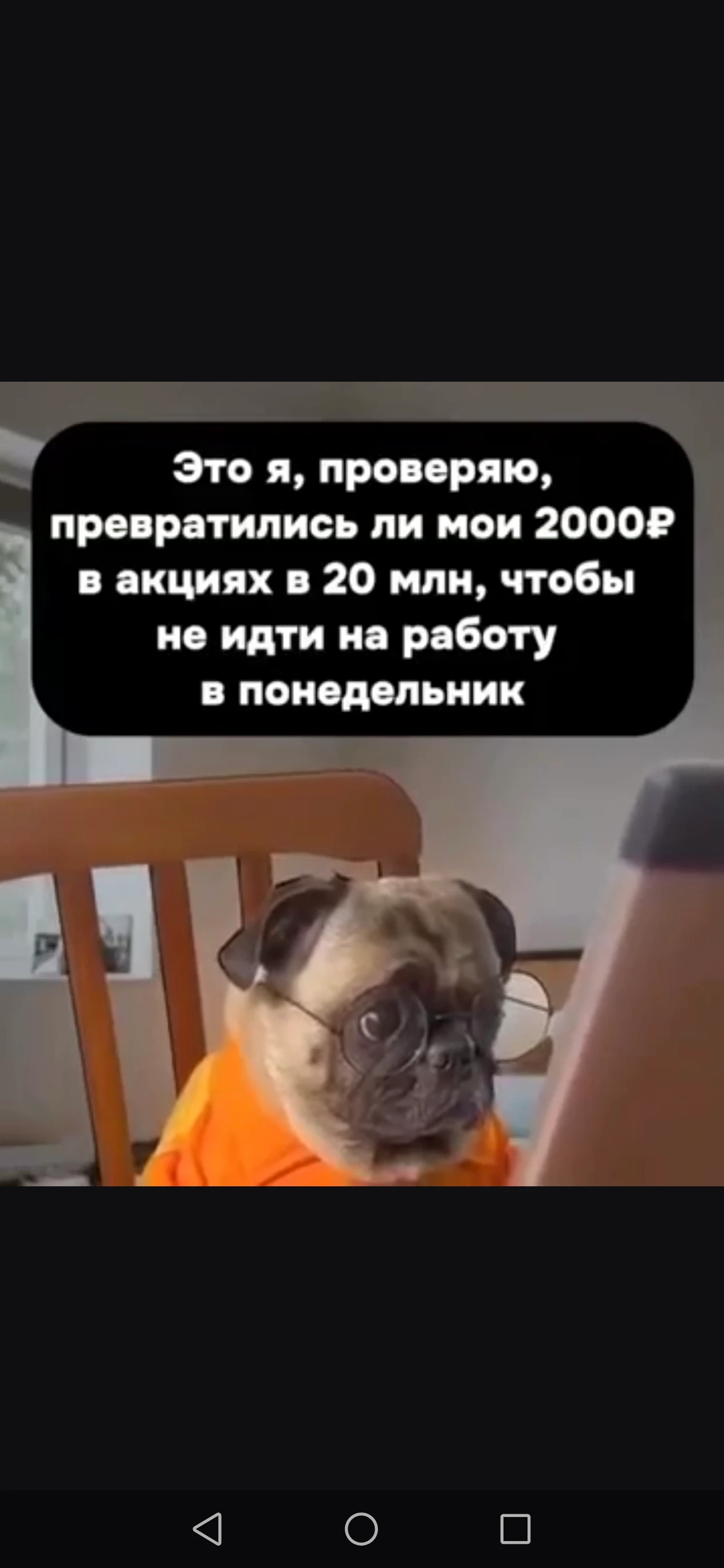 Изображение из поста - изображение