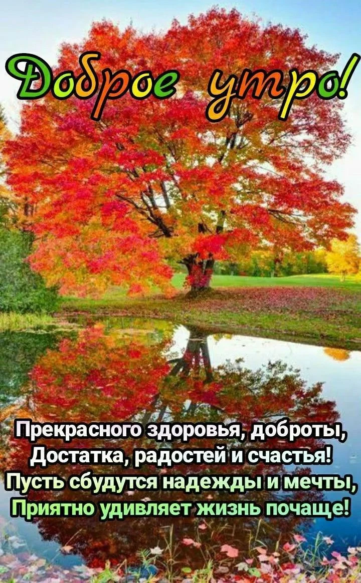Доброе утро. Чтобы научится жить сейчас, необходимо отпустить всё, что произошло вчера. Пусть радость, которую - изображение