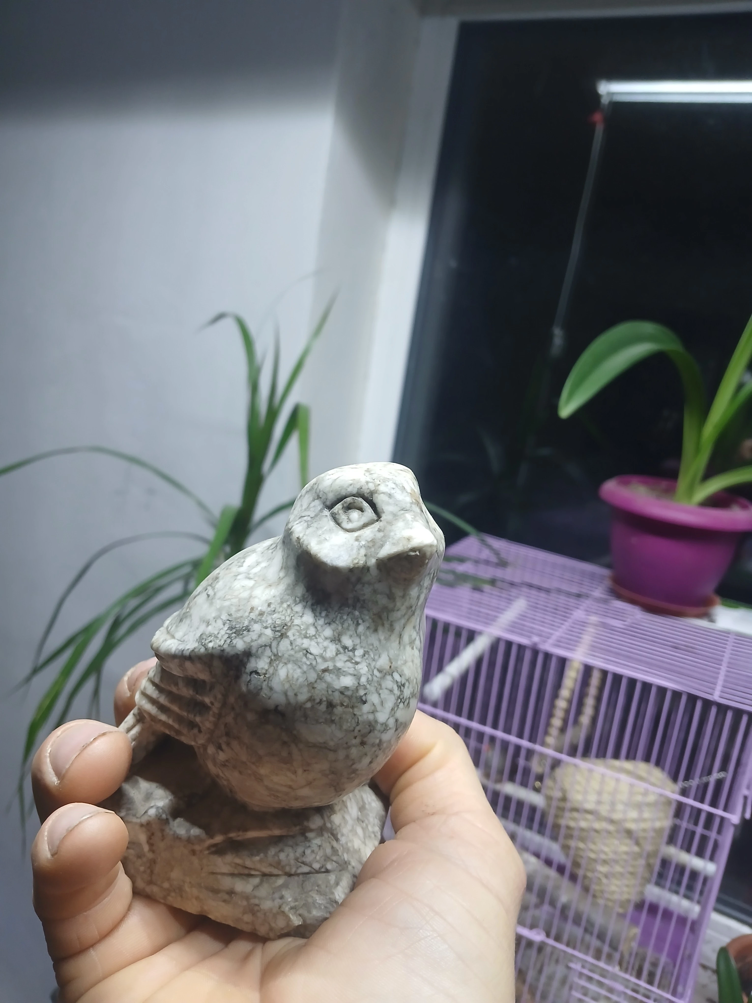 Изображение из поста - изображение