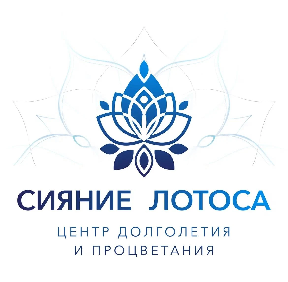 2000000 · Санкт я Петербурге и регионы · Услуги в сфере красоты и здоровья Название проекта: Федеральная сеть - изображение