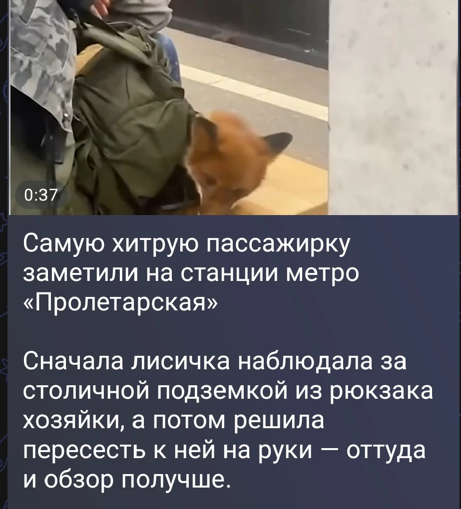 Изображение из поста - изображение