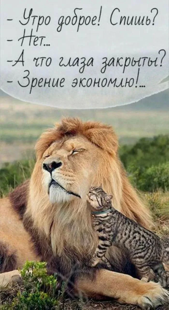 Смех и не только#смешноймаркетинг - изображение