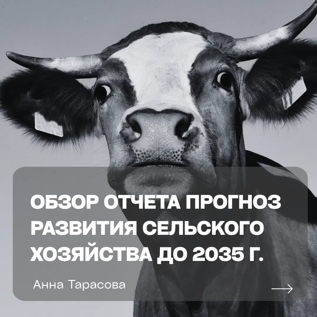 «Прогноз развития сельского хозяйства на 2026–2035 годы» оценивает десятилетние перспективы рынков - изображение