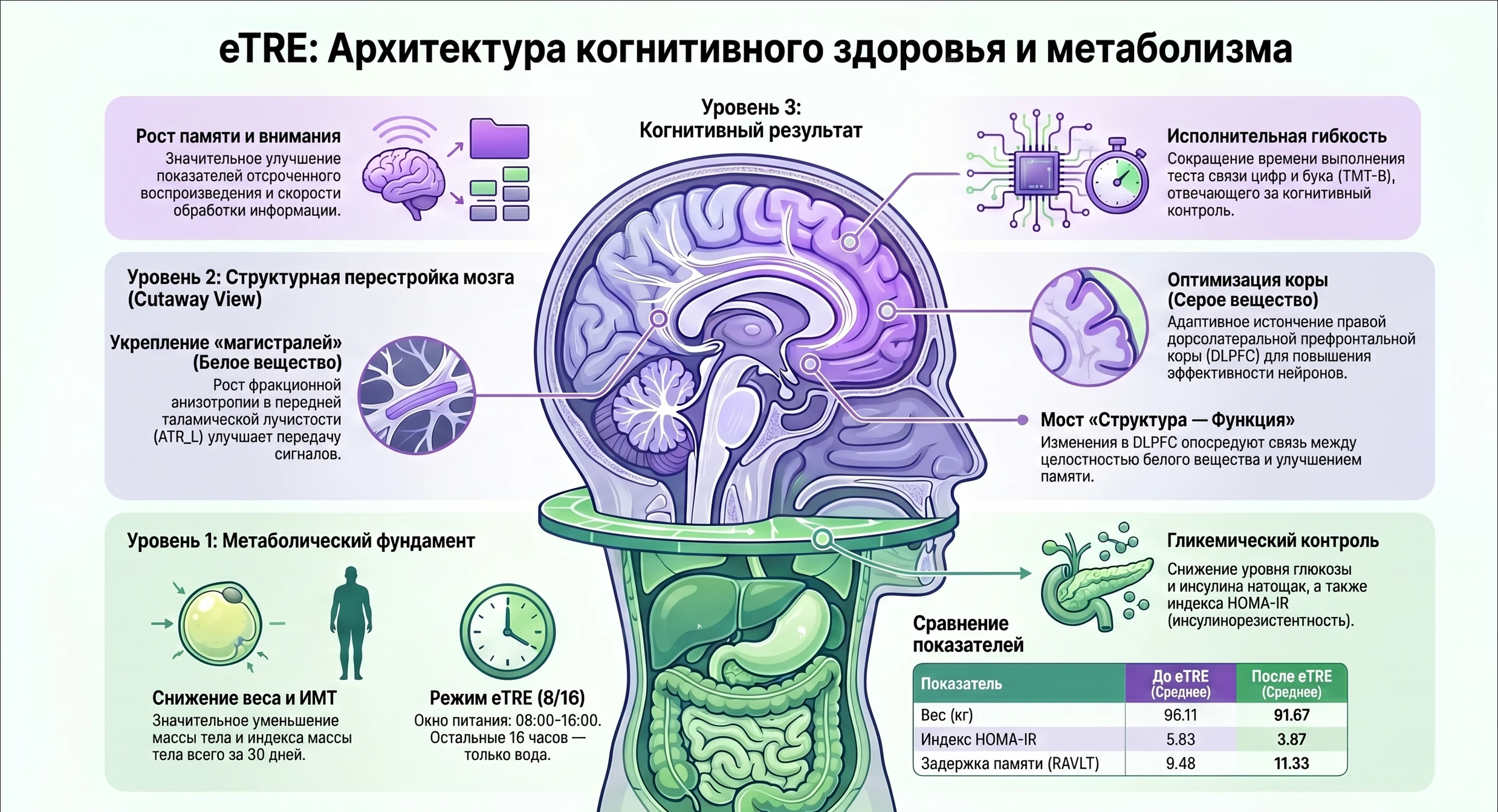 Знакома ситуация, когда после ночного дедлайна с перекусами утро начинается в режиме «овоща»? Проблема не только - изображение