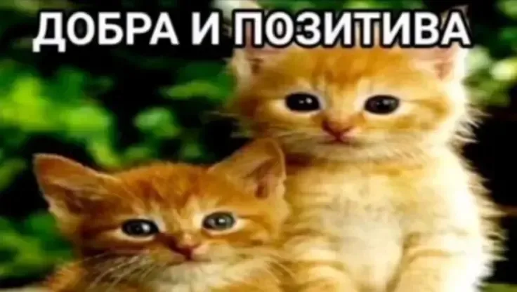 🔅 пост-попытка повысить репутацию, но стоп, а на что она влияет? Хзхз А еще скоро конец лета... Но уже - изображение