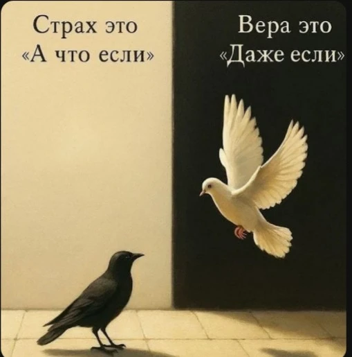 Потому что «не так» — это не тупик, а просто другой маршрут. Иногда именно он приводит к самым крутым кадрам, - изображение