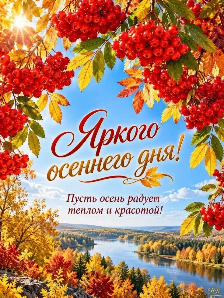 Изображение из поста - изображение