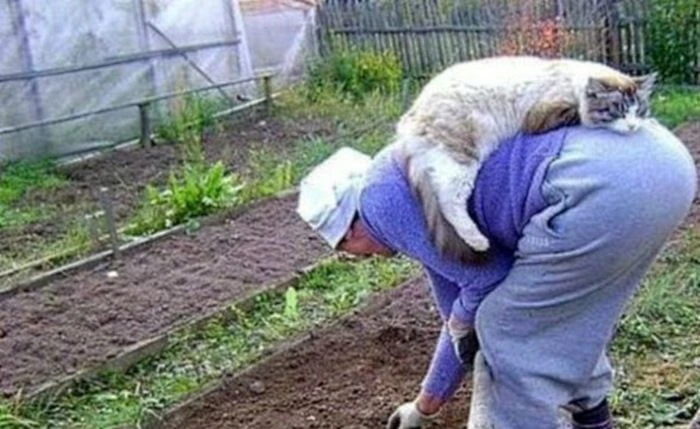 Октябрь всегда (не только в этом году) это дежавю января. В невисокосный год он даже начинается в тот же день - изображение