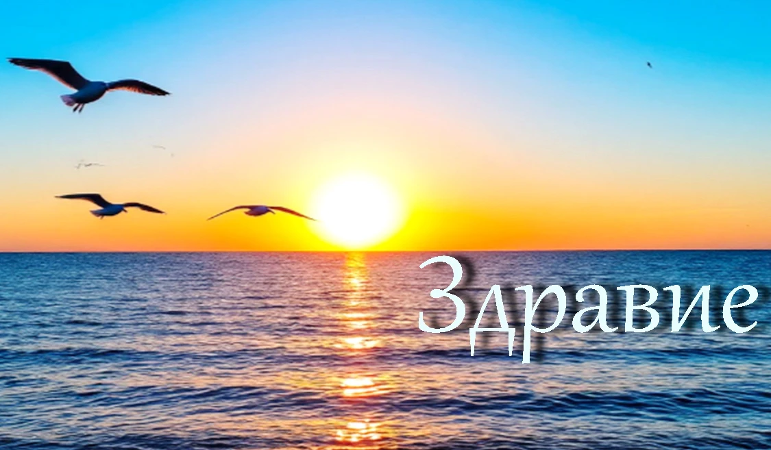 История одного исцеления. В старинном доме на окраине города жила парфюмер Лана – женщина с красивым именем - изображение