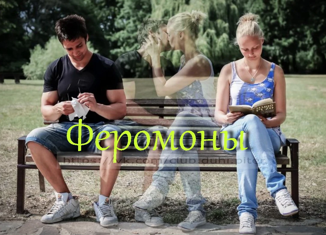 Собирая воедино То, что любят мужики, Я для женской половины Разработала духи… Когда-то, лет пять назад, на - изображение