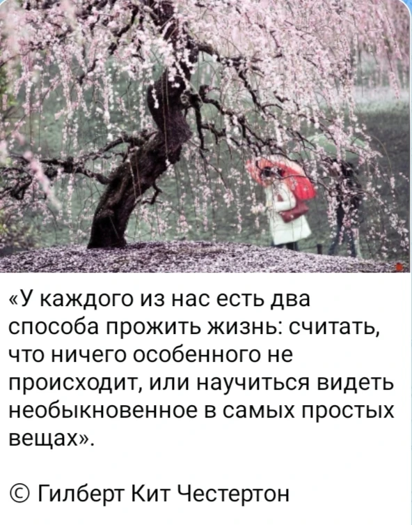 Изображение из поста - изображение