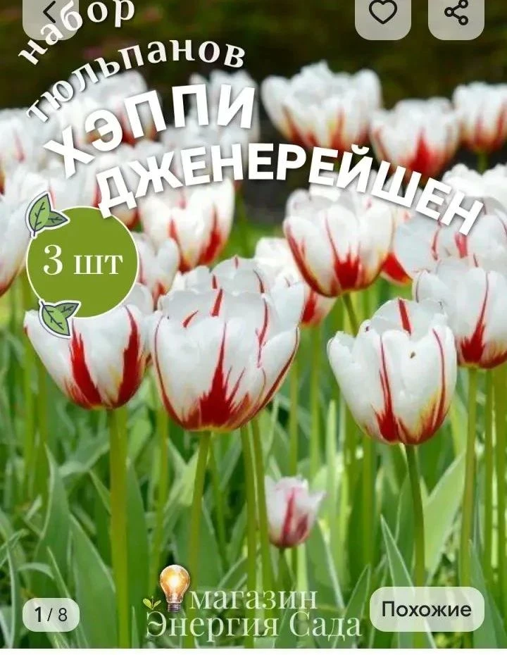 Добрый вечер друзья! 🌷 Вчера заглянула на маркетплейс и увидела такую красоту, что просто не смогла устоять! - изображение