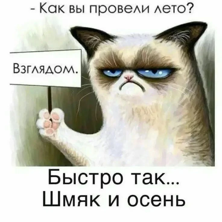 Изображение из поста - изображение