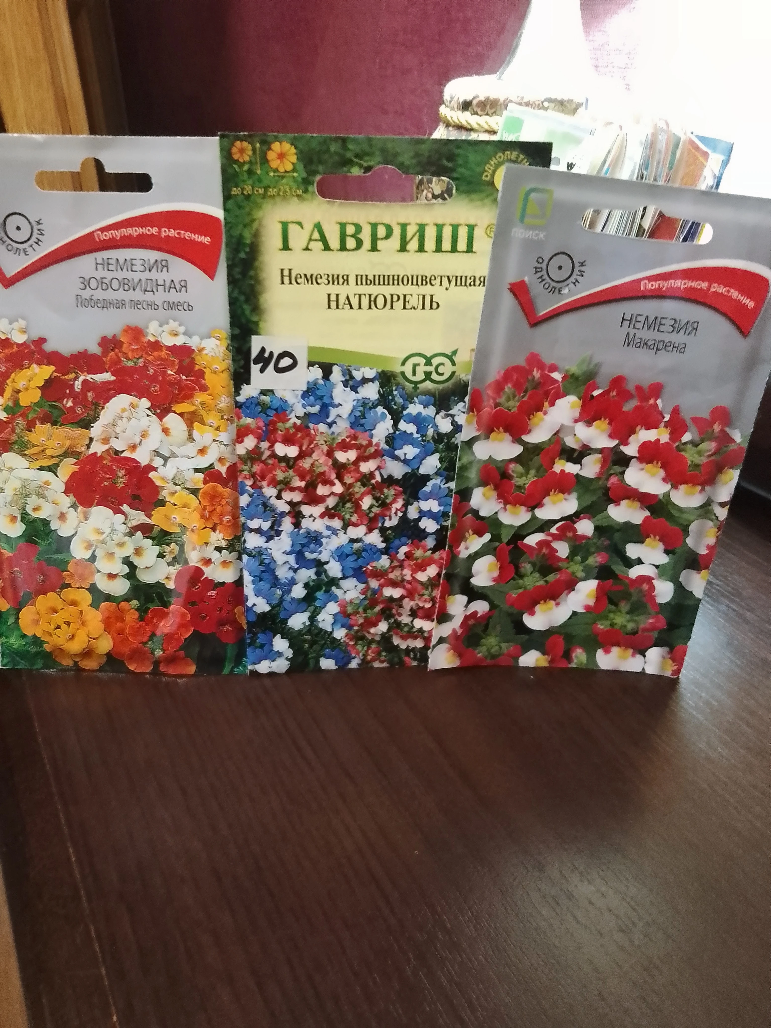 Поддалась искушению: мой новый цветок — Немезия! 🌸 Добрый день друзья! Говорят, что садоводы — народ очень - изображение