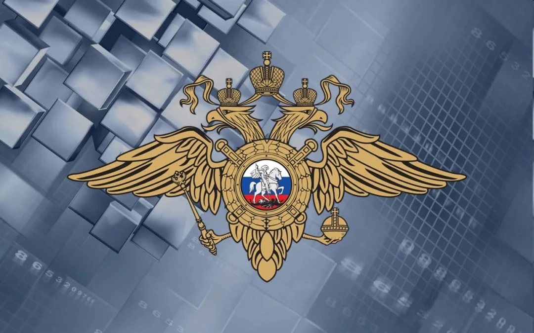 Что случилось МВД России подготовило проект постановления правительства, который освобождает владельцев - изображение