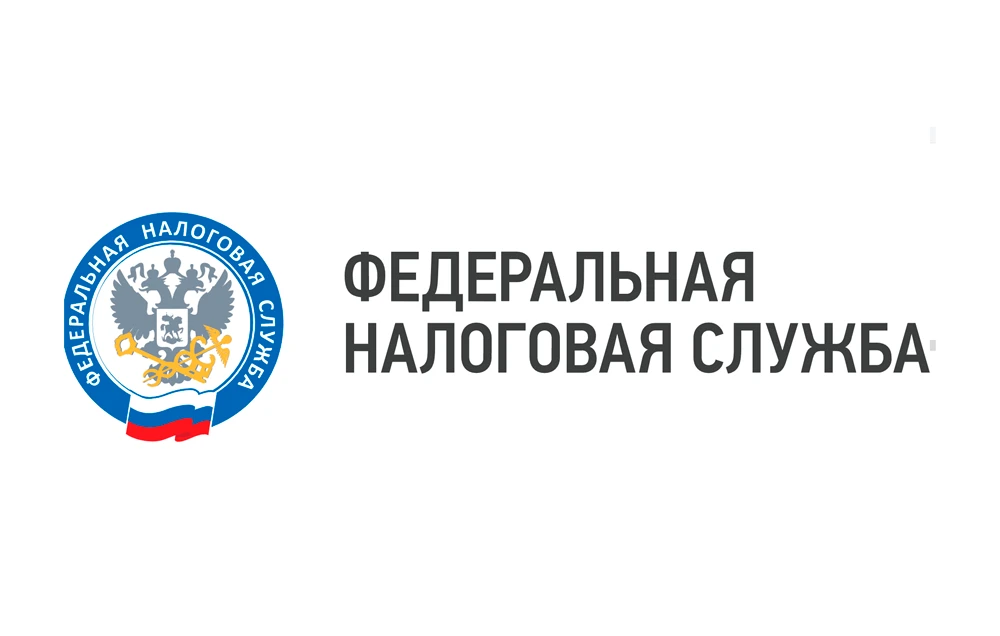 Что случилось ФНС России отчиталась: число трудоспособных граждан без официальных источников дохода сократилось - изображение