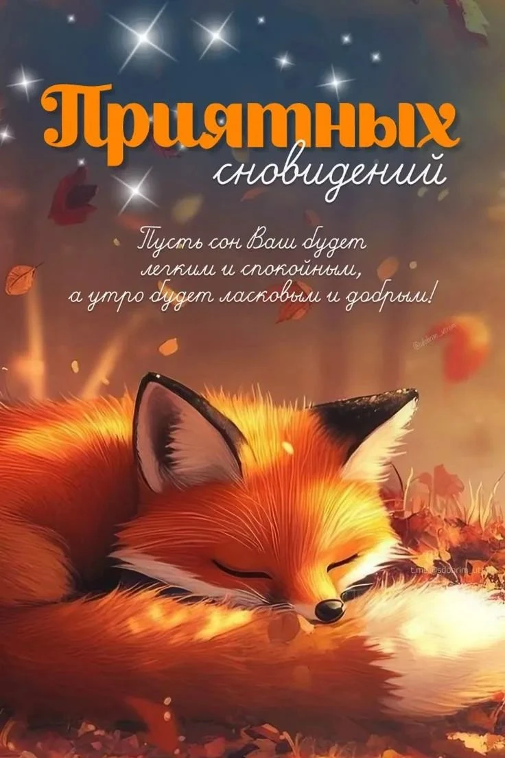 Доброй ночи, исцеляющих снов - изображение