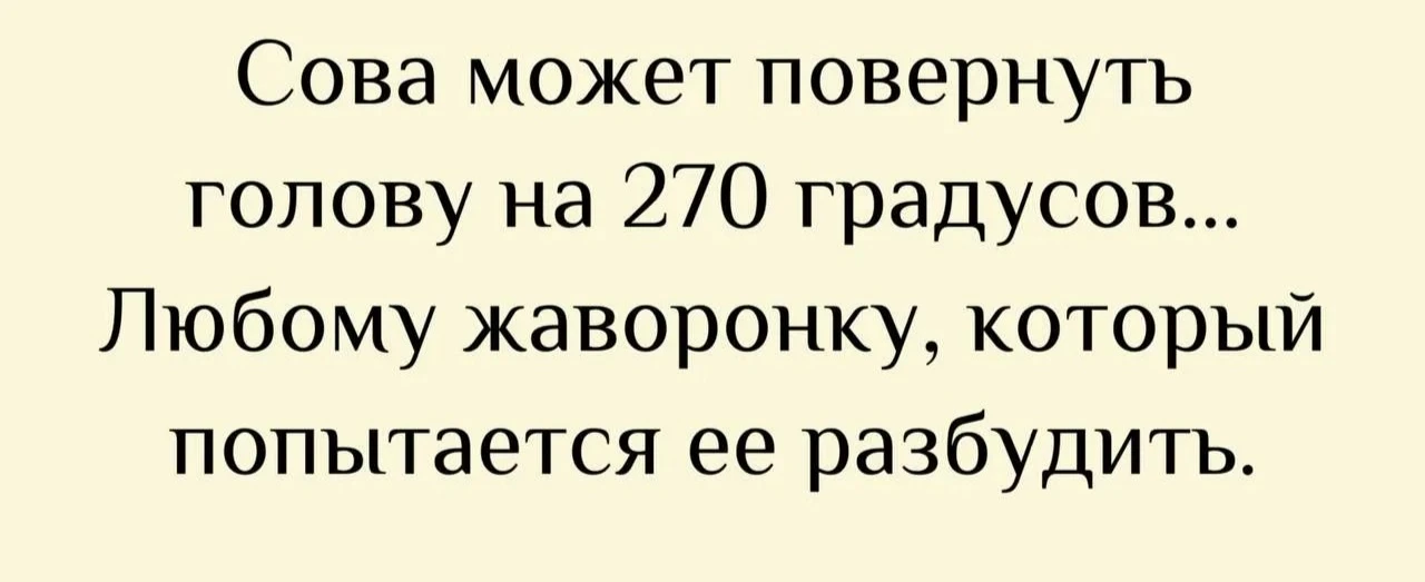 Изображение из поста - изображение