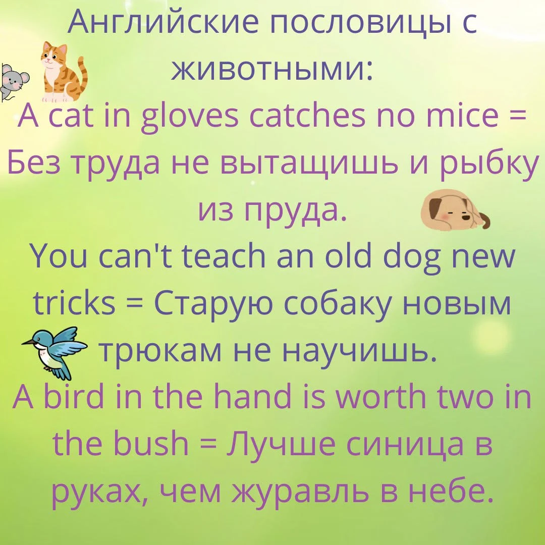 #английский #английскийязык #английскийдляфинансов #финансовыйанглийский Больше английской грамматики здесь: - изображение