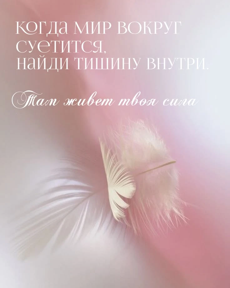 Изображение из поста - изображение