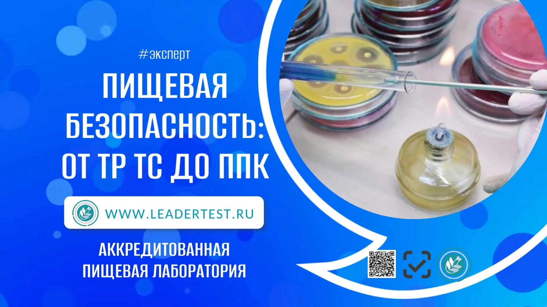 ✅ Разбираем, как выстроить единую систему пищевой безопасности: от внедрения принципов ХАССП и работы с ТТК до - изображение