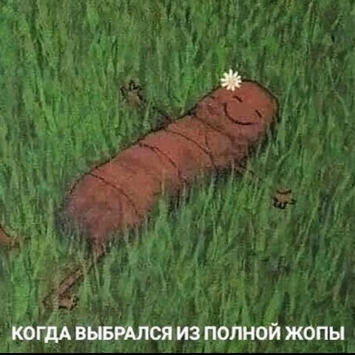 Изображение из поста - изображение