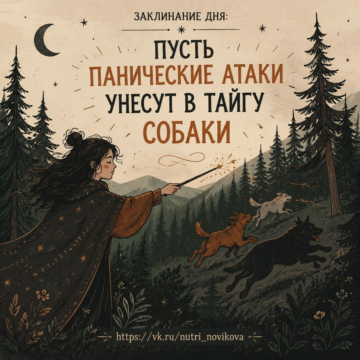 Изображение из поста - изображение