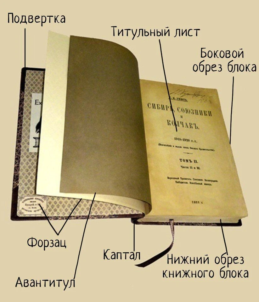 Книги, как и люди, обладают удивительной способностью обрастать биографией, которую они не заказывали. Вы берете - изображение